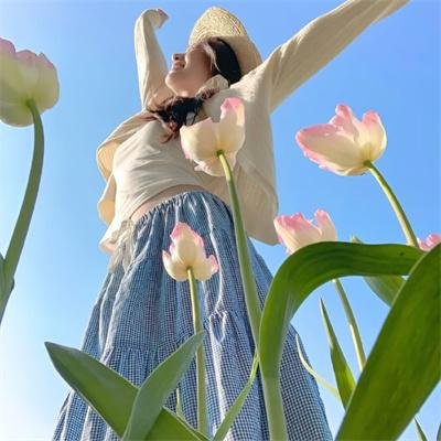 三全其美